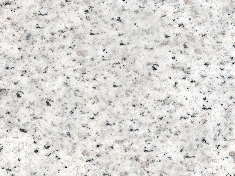 Shandong White Pearl